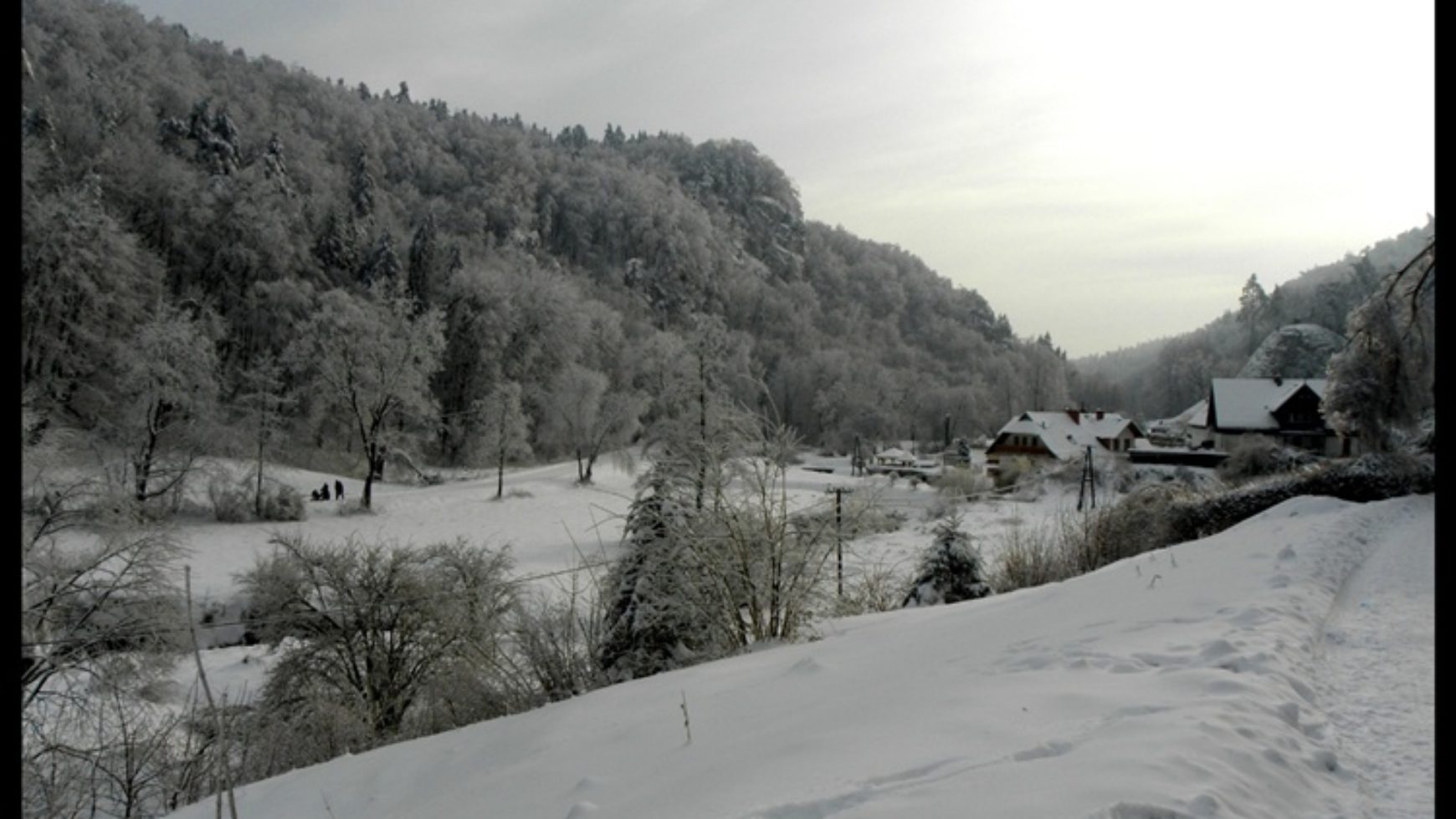 Plenerowe warsztaty fotograficzne w Ojcowskim Parku Narodowym