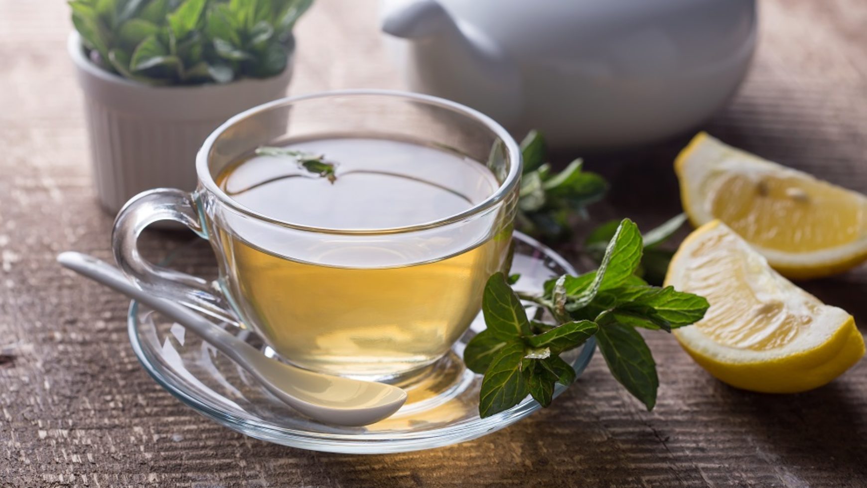 Ceremonia herbaciana – pokaz i warsztaty