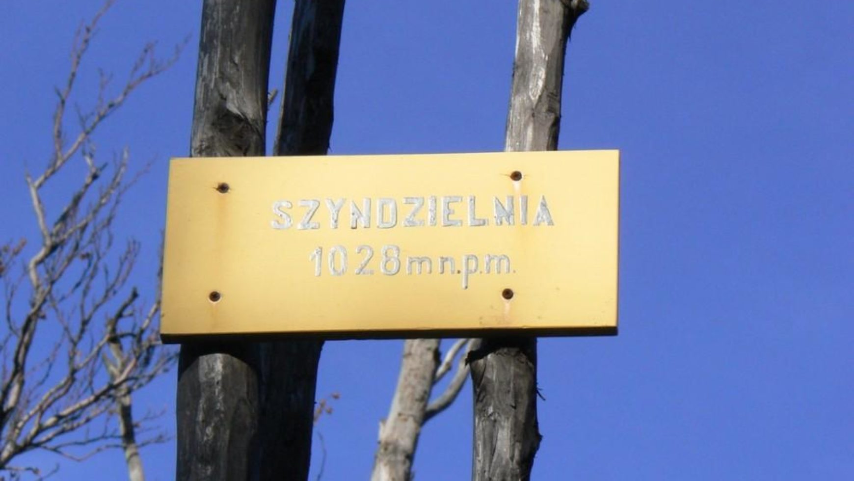 Szyndzielnia w Beskidzie Śląskim pomysłem na aktywny event